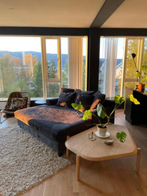 Modern apartment close to everything!